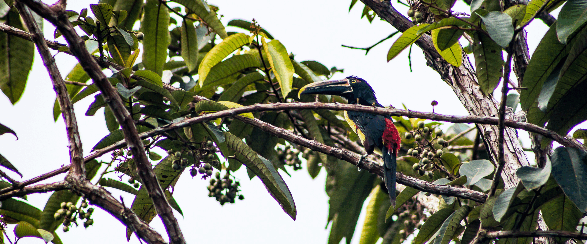 Hotel La Cooperativa Ladrilleros