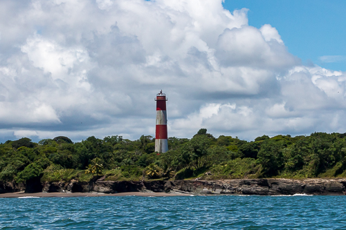 Avistamiento de Ballenas