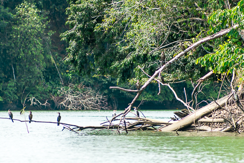 Paseo por los Esteros