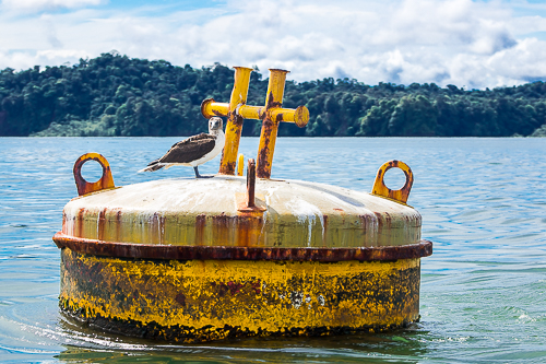 Paseo por los Esteros