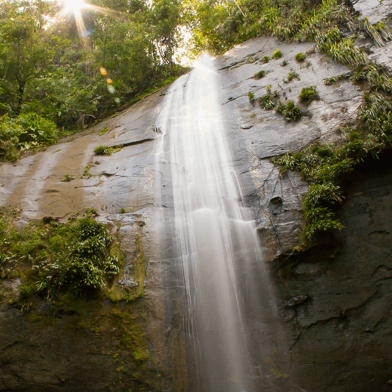 Paseo por los Esteros