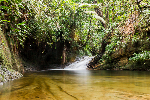 Paseo por los esteros