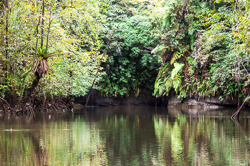Paseo por los Esteros