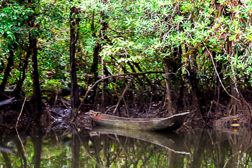 Paseo por los Esteros