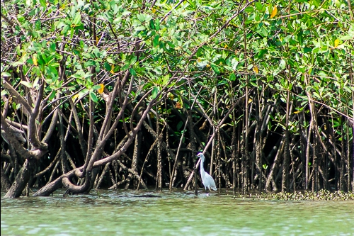 Paseo por los Esteros