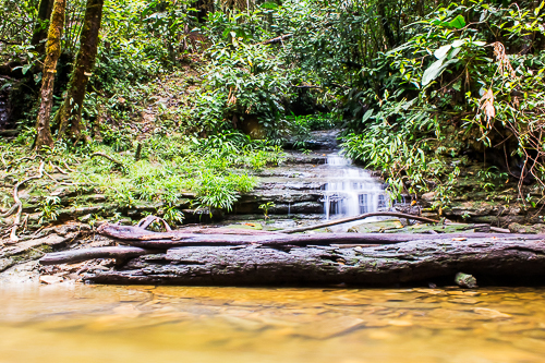 Paseo por los Esteros