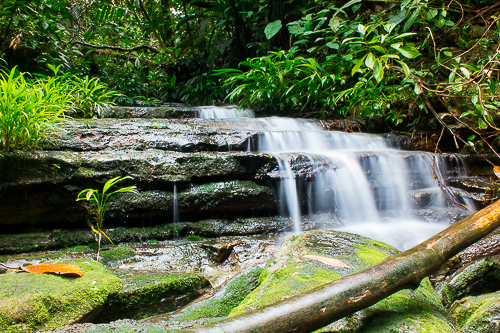 Paseo por los Esteros