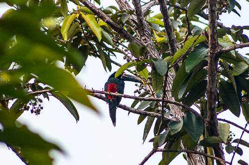 Paseo por los Esteros