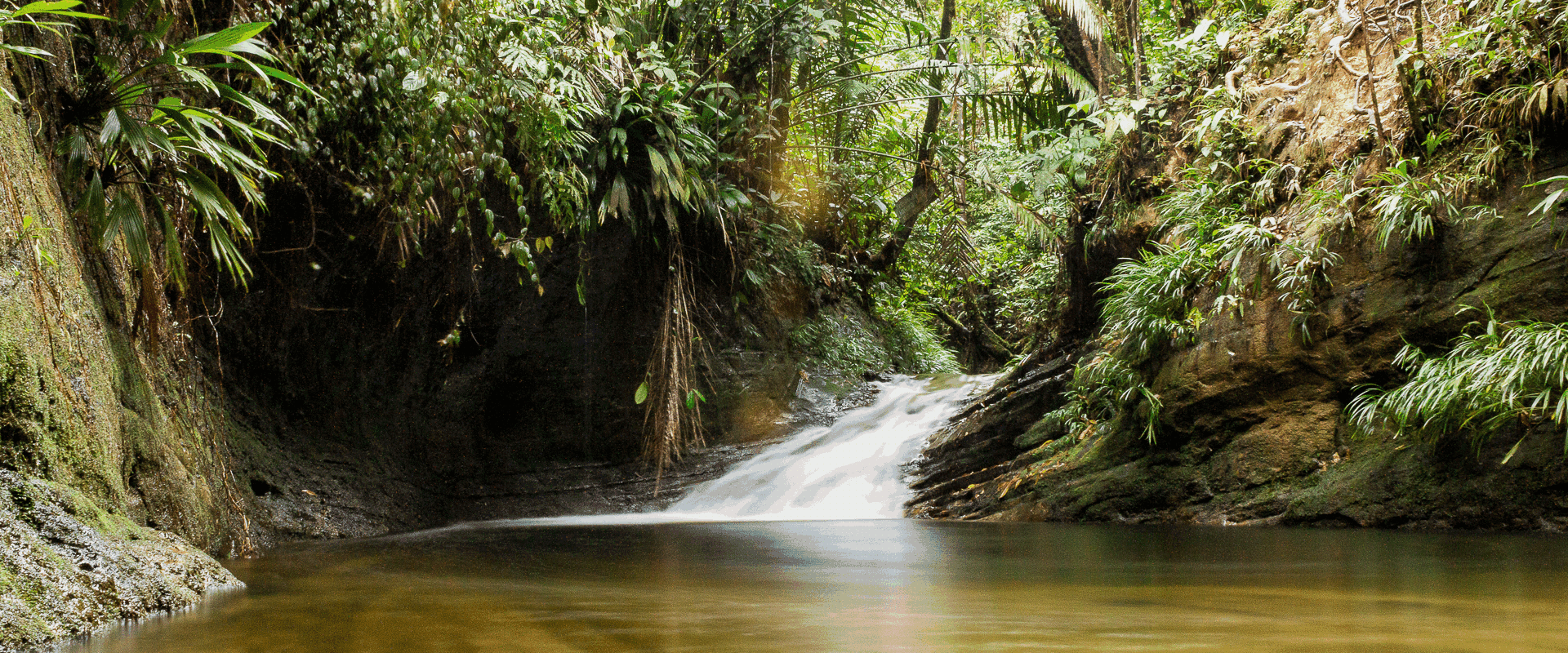 Paseo por los Esteros