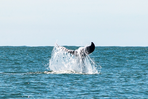 Hotel La Cooperativa